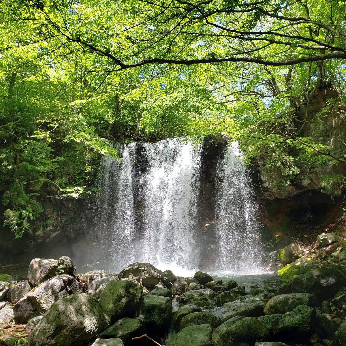 🏞️ 오토메 폭포(오토메노타키) 이미지 6